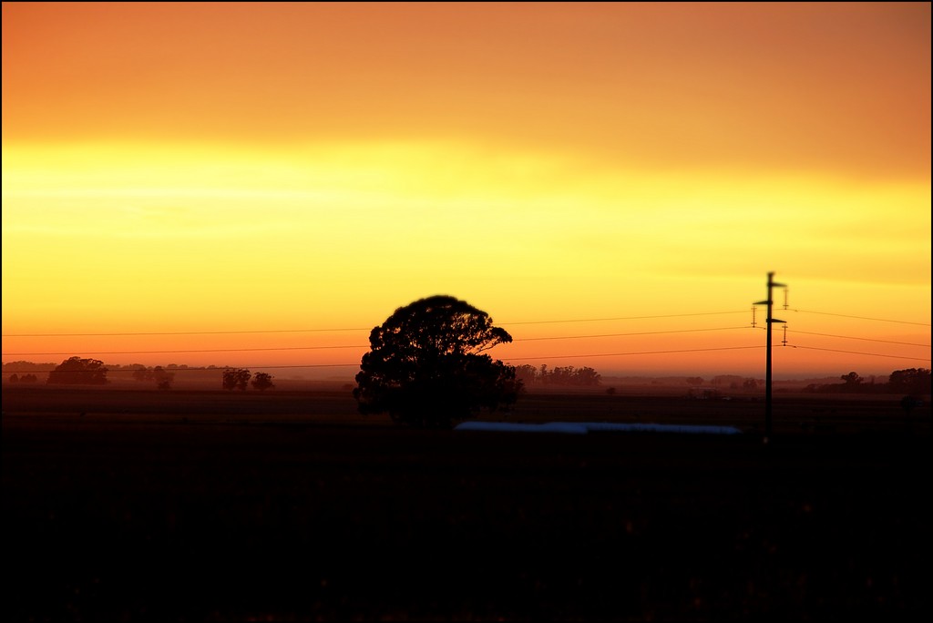 Transporte Escolar EEST N°6 Sede