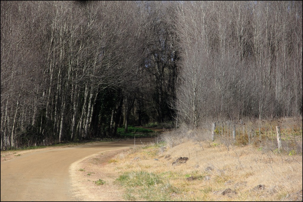 Transporte Escolar EEST N°6 Sede.