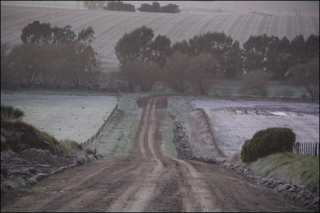 Transporte Escolar EEST N°6 Sede