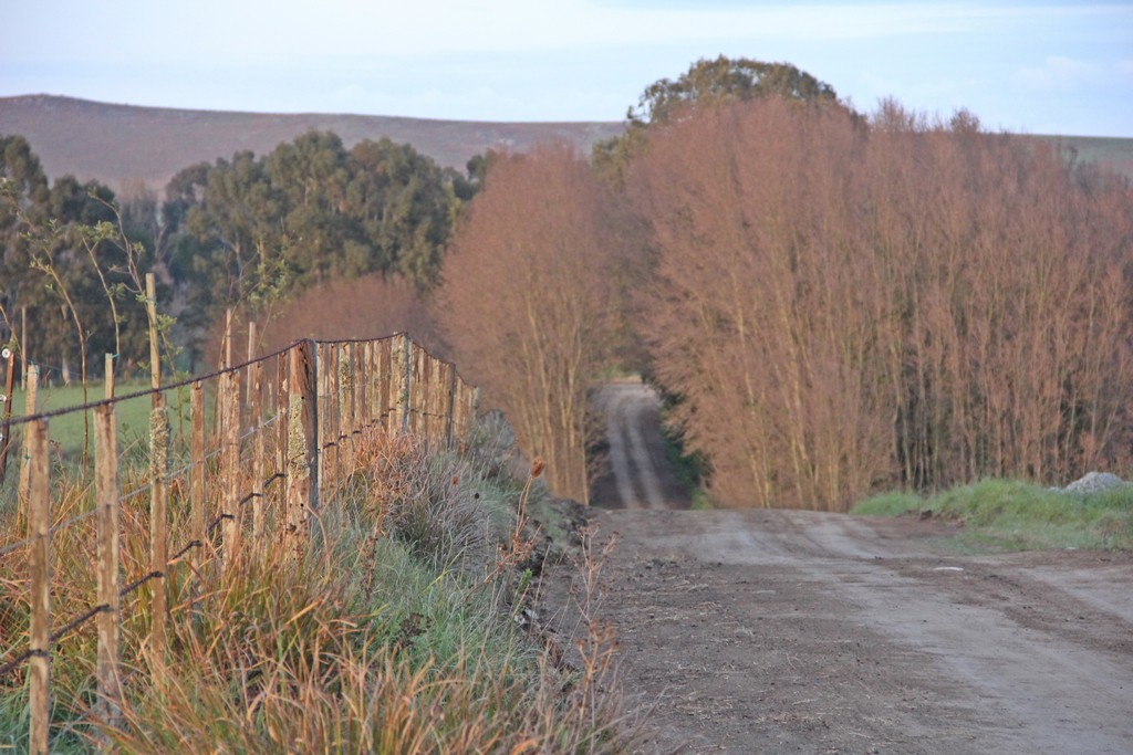 Transporte Escolar EEST N°6 Sede.