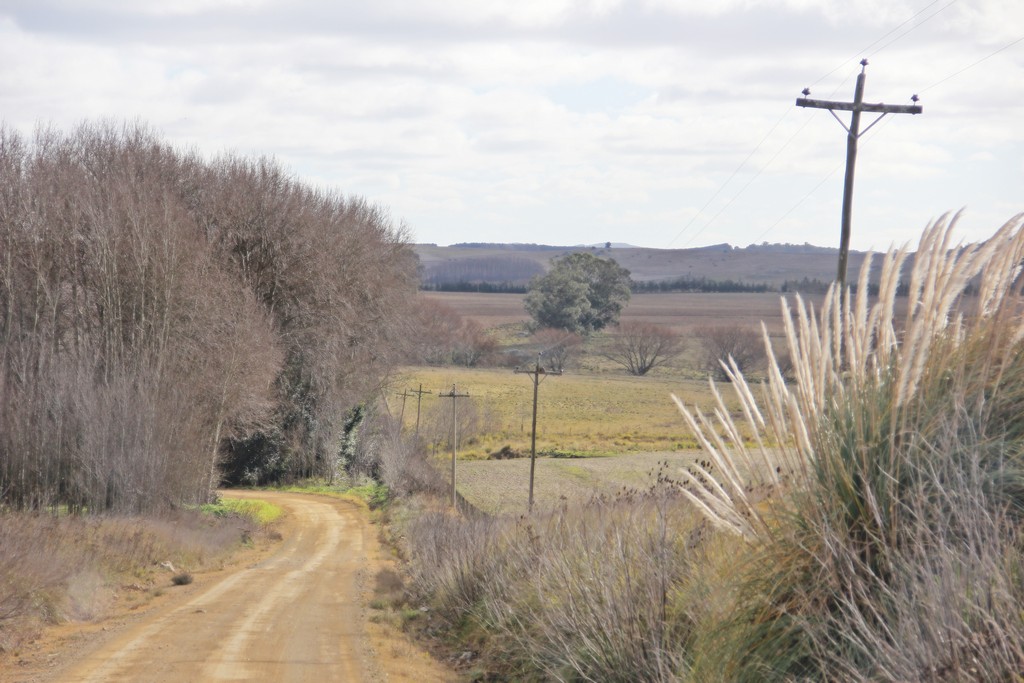 Transporte Escolar EEST N°6 Sede