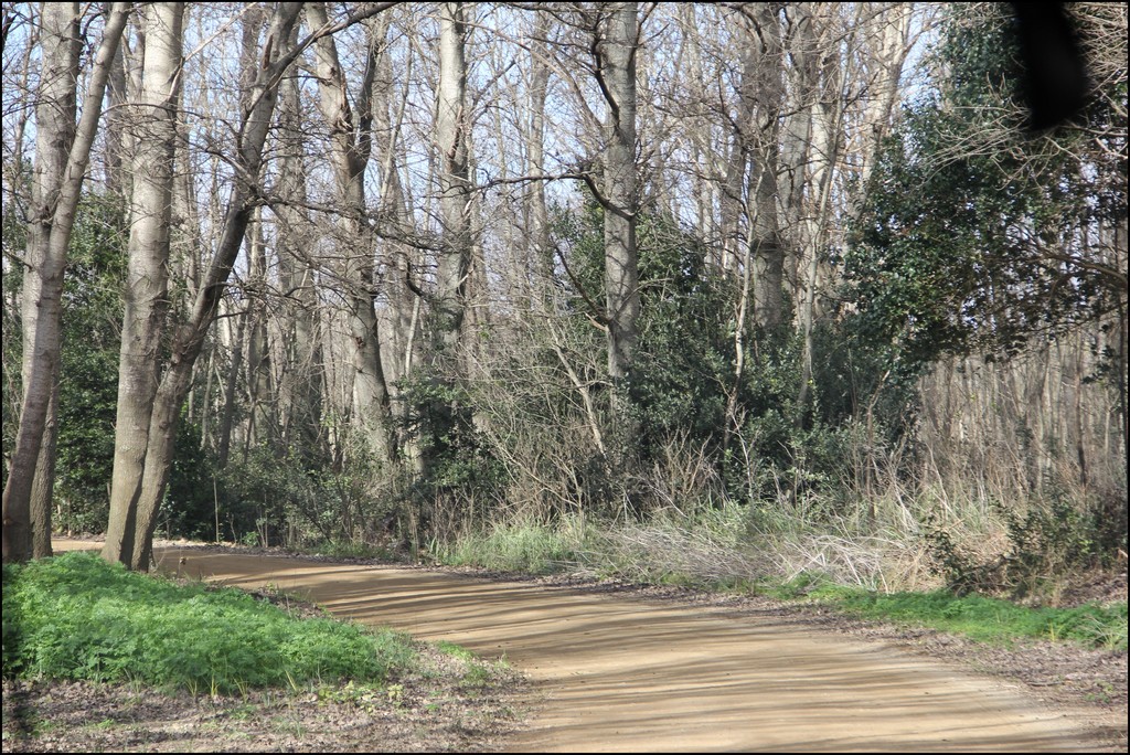 Transporte Escolar EEST N°6 Sede.